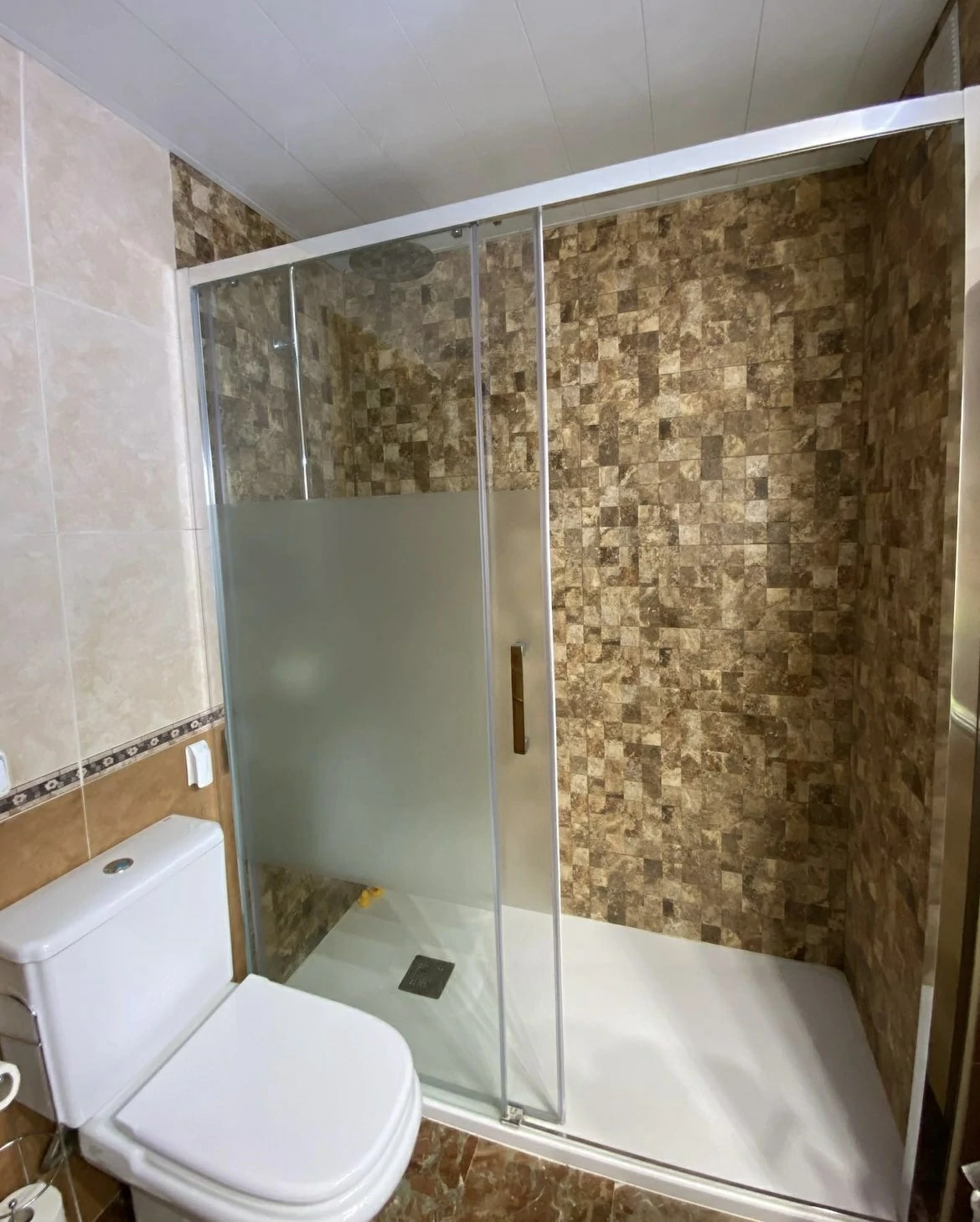 Baño con ducha de mampara, mosaico marrón y sanitario blanco.